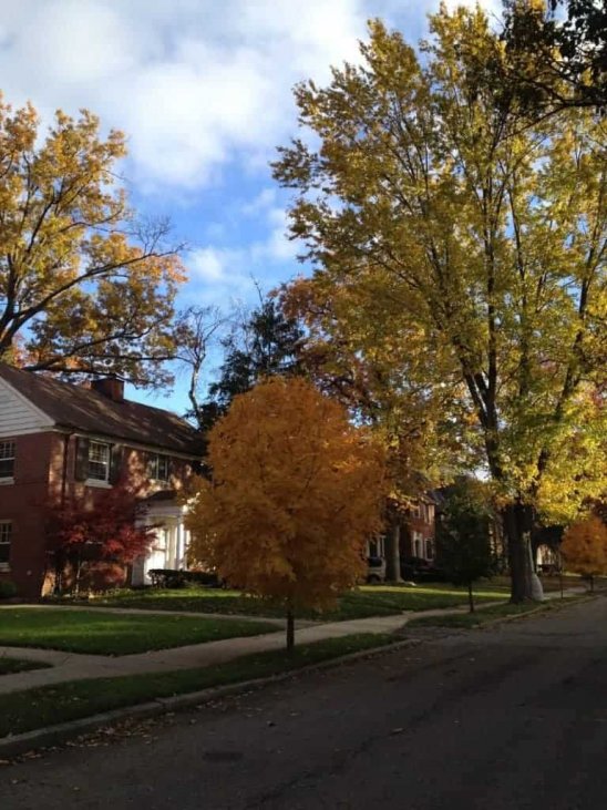 Sherwood Forest located in Detroit, Michigan